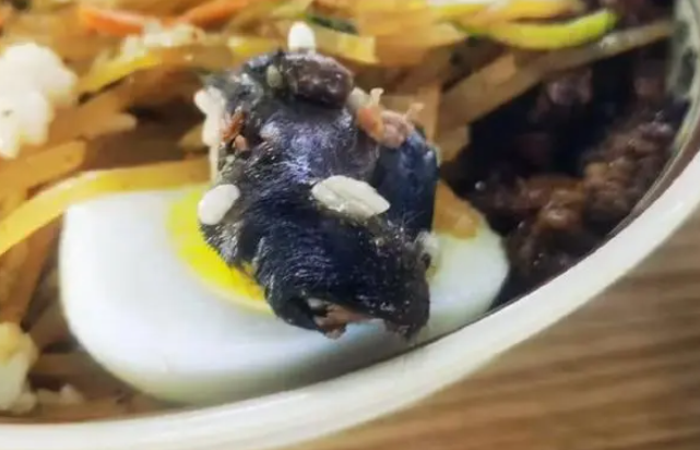 河北一高校食堂疑吃出鼠头，异物上满是毛发，店家曾称是牛肉