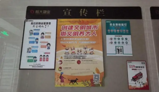 被烈犬咬伤募捐200万争议：医院称未开证明，平台称家属自估金额
