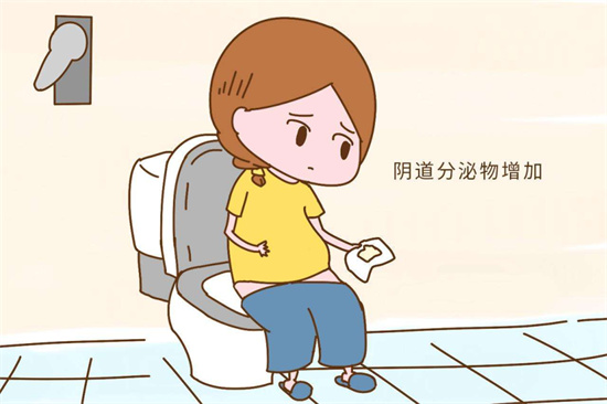 怀孕36.jpg