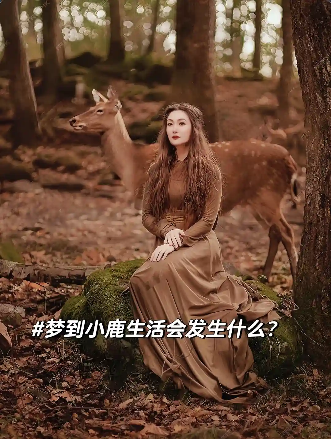 解梦：梦见小鹿代表什么？