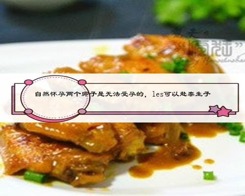 自然怀孕两个卵子是无法受孕的，les可以赴泰生子