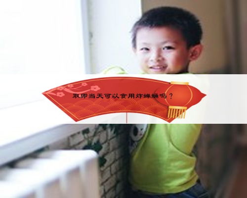 取卵当天可以食用炸蝉蛹吗？
