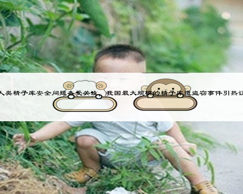 人类精子库安全问题备受关注，我国最大规模的精子库遭盗窃事件引热议