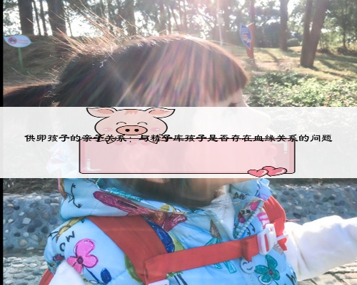 供卵孩子的亲子关系:与精子库孩子是否存在血缘关系的问题