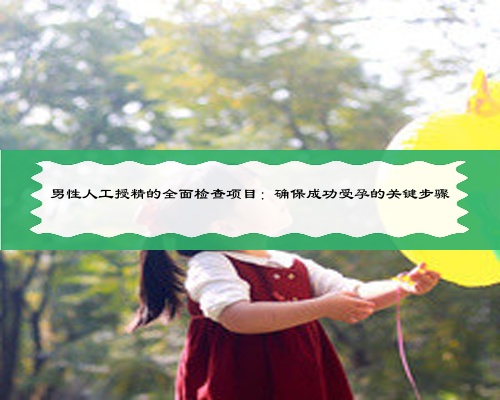 男性人工授精的全面检查项目:确保成功受孕的关键步骤