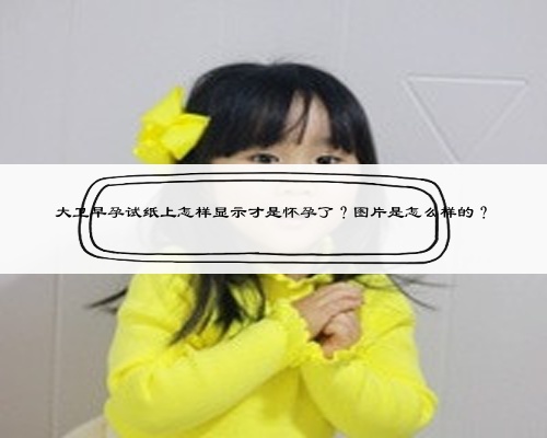 大卫早孕试纸上怎样显示才是怀孕了？图片是怎么样的？