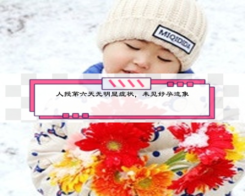 人授第六天无明显症状，未见好孕迹象