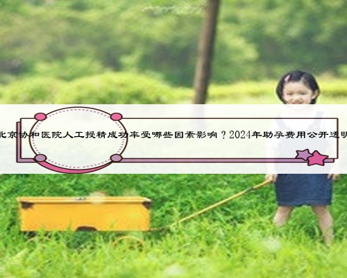 北京协和医院人工授精成功率受哪些因素影响?2024年助孕费用公开透明