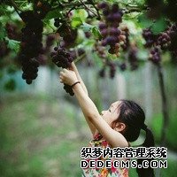 试管婴儿有多痛呢？陪你了解全过程，看完后好心疼女人_31561