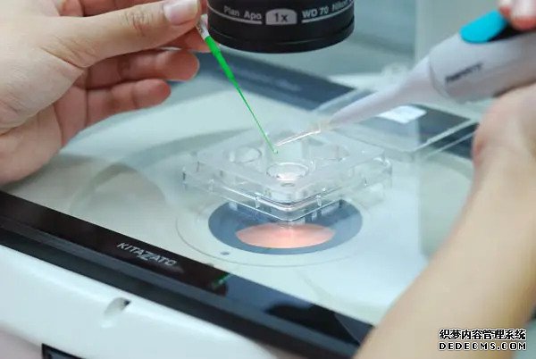 中山代怀生 有没有中山博爱医院三代试管流程表？ ‘已生男宝的nt单子图’