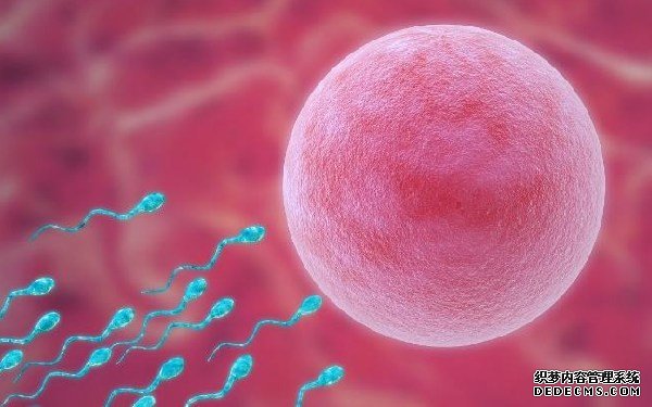 昆山供卵试管经验 2022昆山看不孕不育哪家医院技术好一点？ ‘双顶径头臀径怎么看男女？’