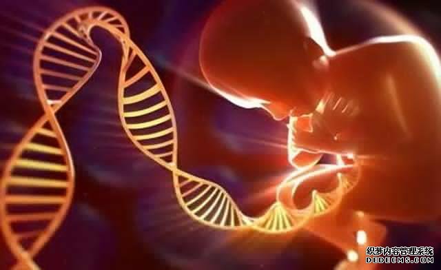 月经过后什么时间最容易怀孕？排卵期精确计算方式