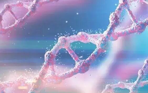 大连三代试管 大连人工授精医院提醒，做人工授精不会有危险！ ‘怎么根据四维分辨怀的男孩女孩’