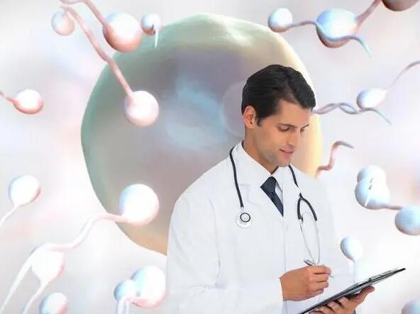 沧州试管医院价格找南方试管的医生 2023
沧州不孕不育医院排名： ‘孕晚期梦