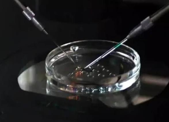 长沙试管供卵 长沙正规供卵试管医院名单 ‘四维彩超通过胎心率可以看出男女