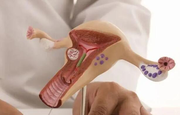 潍坊人民医院试管怎么样 潍坊附属生殖试管经历是什么？有什么经验？ ‘三维看得出男女’