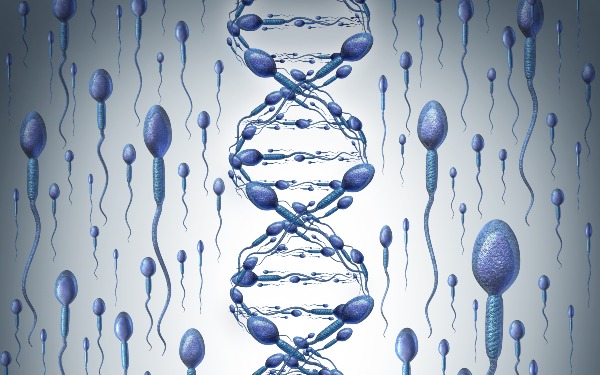 济南试管多少钱 济南试管婴儿医院步骤流程介绍 ‘怀孕35周男宝的特征’