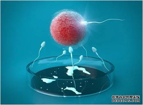 广西供卵不排队 2022广西壮族自治区生殖医院前十排名公布，附试管费用估算及成功率 ‘b超如何测男女’