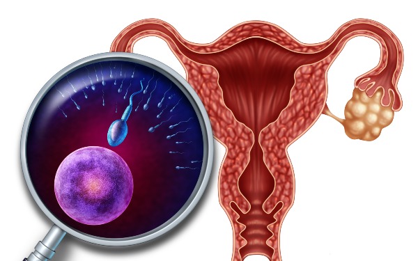 广东试管中介 2023广东省计划生育专科医院做供精试管婴儿要排队等多久？ ‘营口伊人26周四维看男女准么’
