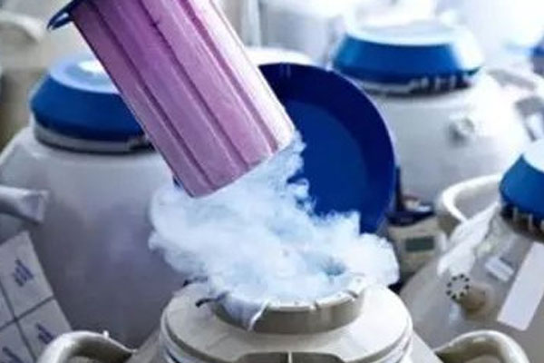 上海第一妇婴试管流程 上海生育金怎么算 ‘胎囊23x40x19男孩女孩’