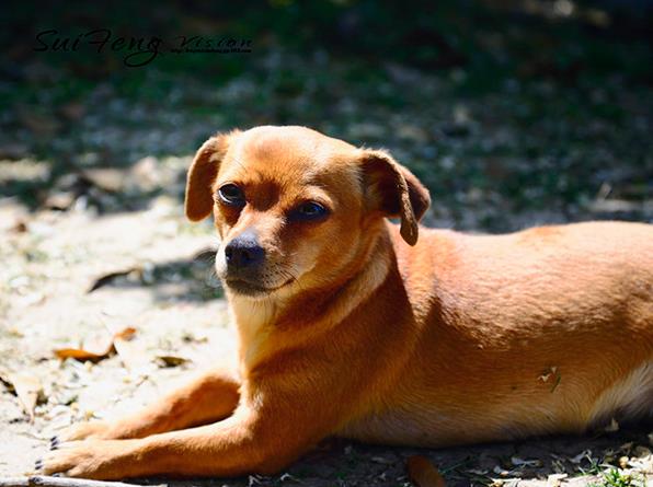 北京朝阳医院等待供卵要多久才能取卵 2022北京可以做供卵试管婴儿的私立医院