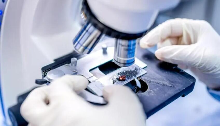 沈阳盛京医院陈静医生怎么样 沈阳盛京医院生殖科做三代试管婴儿取卵费用多少？ ‘25周四维女宝翻盘实例’