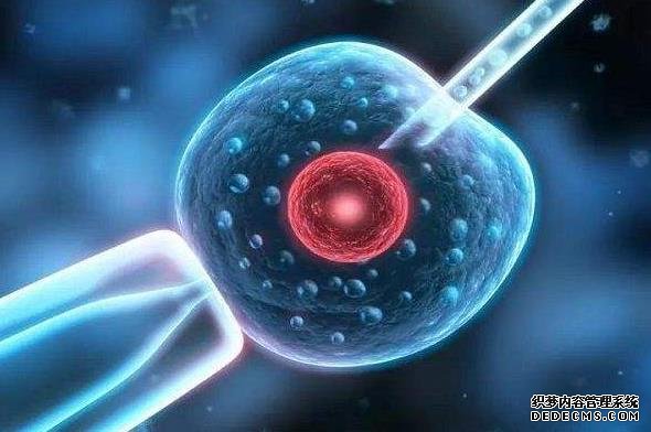 深圳代生哪成功率高 深圳北大三代试管医生排名 ‘孕囊怎么看长宽高看男孩女孩’