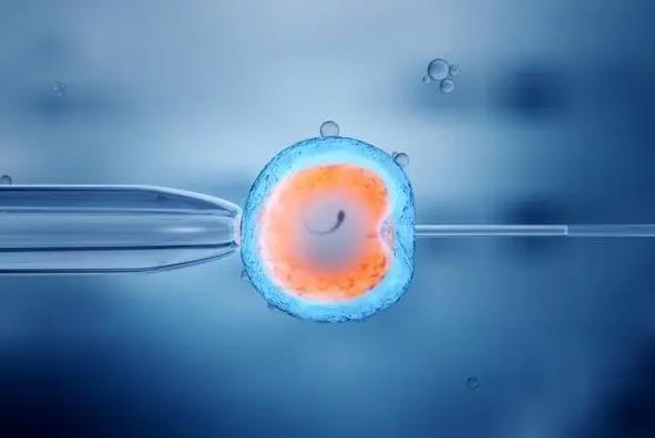 江苏做代孕需要 2022江苏三代试管婴儿医院排名，附试管成功率费用一览 ‘代孕生男女的症状’