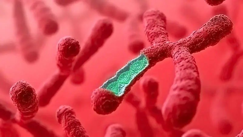 杭州试管供卵 杭州美中宜和输卵管造影,做输卵管复通手术和做试管婴儿哪种的