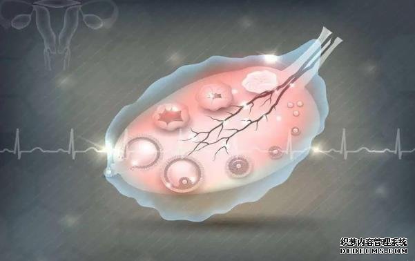 多次睾丸穿刺无精子该怎么办？_3n2Lj