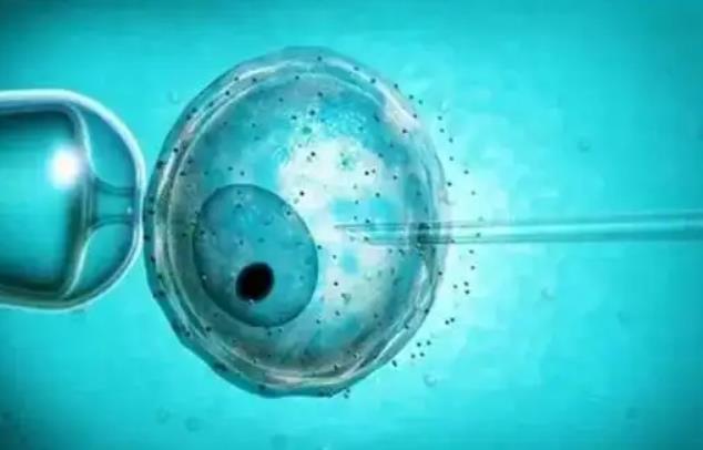 宁波供卵试管 2023年宁波试管费用纳入医保了吗？ ‘四维hr160次/分是男是女’