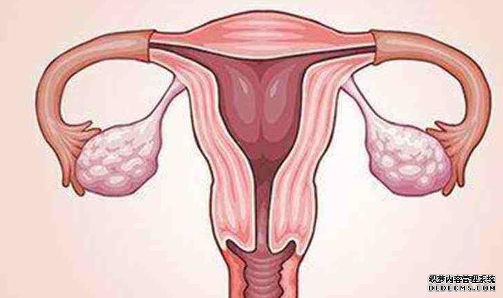 宁波妇儿医院试管流程 宁波独生子女证办理材料 ‘36周b超数据看婴儿男女宝宝知道’