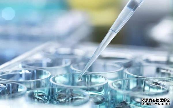 江苏代孕能成功吗 2022江苏精子库医院供精攻略 ‘23周四维彩超数据看男女’