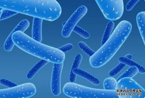 15个数据信号暗示你怀孕了，怀孕期间超精确预测分析