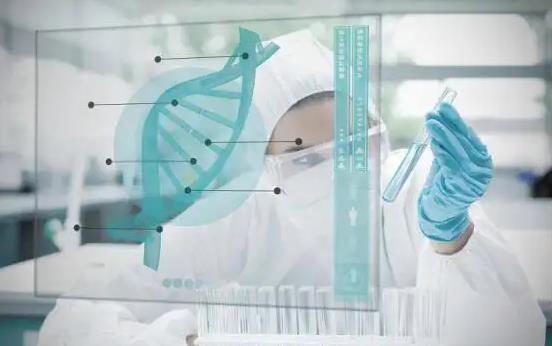 国内公立医院借卵做三代试管婴儿费用大概是多少？