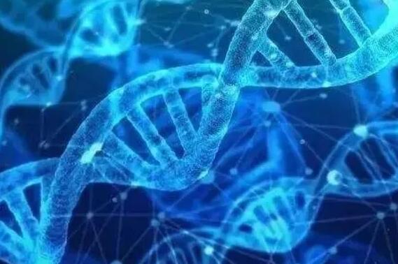 做试管需要辞职吗？北京试管婴儿医院哪家好？