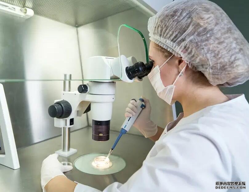 广州借卵代生孩子 广州中山孙逸医院试管价钱试管婴儿的钱花在哪? ‘孕11周b超显示生殖器处有一条亮浅是男是女’