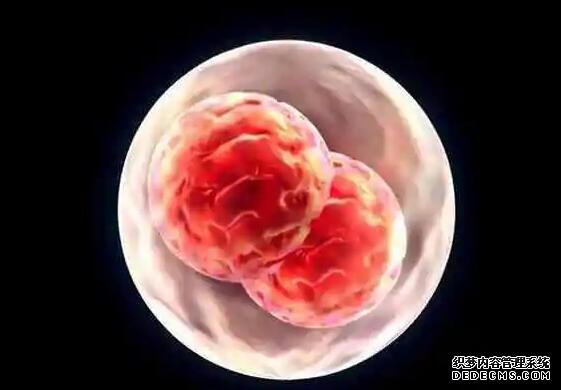 成都代怀生双胞胎医院 成都一幼儿园给孩子吃全素食详情 ‘代孕做b超多盖一处