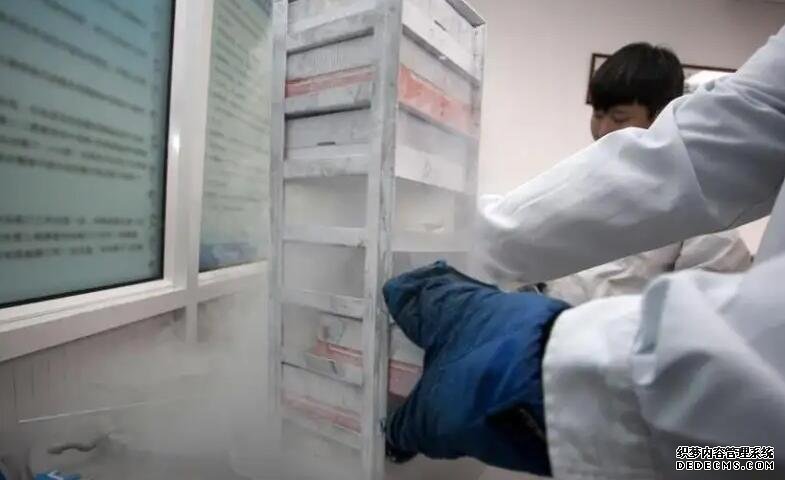 365助孕中心官网_孕无忧是什么意思_国内哪里有包生男孩的试管婴儿医院？可靠