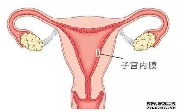温州私人机构供卵 温州试管医院名单整理 ‘做b超看孩子男女，她腿夹着，怎么让他换姿势啊’