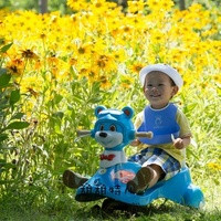 福州代怀怎么办 福州供卵试管前三医院排名，附供卵生男孩条件参考？ ‘3个月彩超怎么看男孩女孩三个月的彩超’
