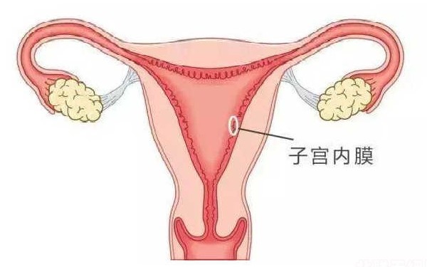 南京做供卵试管 南京试管助孕为什么失败？原因就是这些 ‘男宝宝女宝宝孕囊对比’