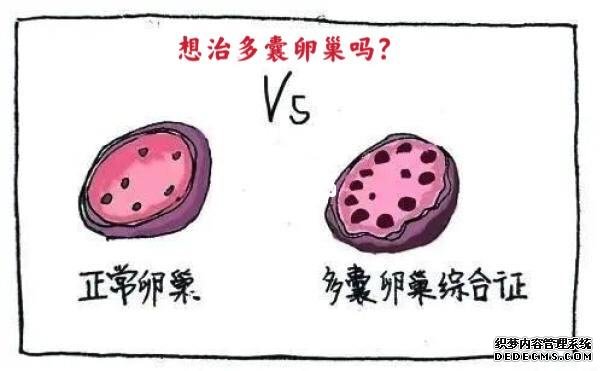 如何知道自己有没有hpv！2023最新症状、检查、自检准确对比