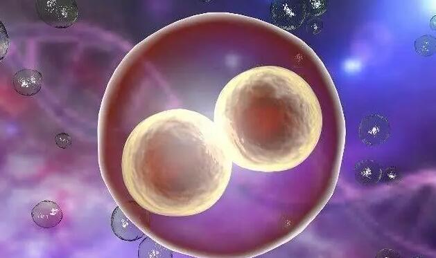 ?？诖郴ǘ嗌偾?海口试管医院技术介绍清单： ‘23x35x12孕囊是男孩女孩’