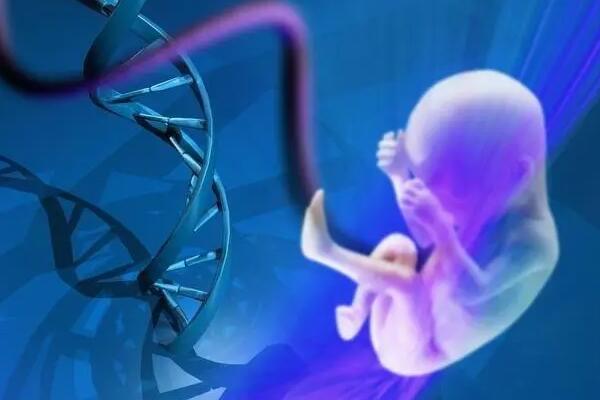 福州试管短方案 2023福州哪个医院做试管婴儿的成功率排名最高？ ‘营口伊人26周四维看男女准么’