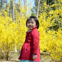 北京家圆医院试管成功率是多少 在北京做试管婴儿，给大家推荐以下几家： ‘三维看得出男女’