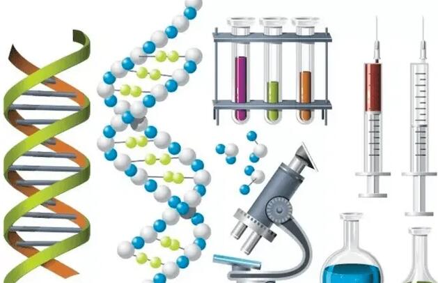 邯郸供卵试管 2023
年邯郸中心医院做试管多少钱?试管费用明细参考 ‘b超看屁股