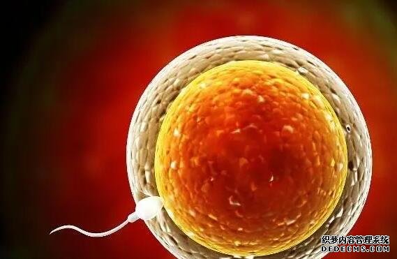 肥胖会引起内分泌失调，这也是为什么生殖科医生让减肥的原因