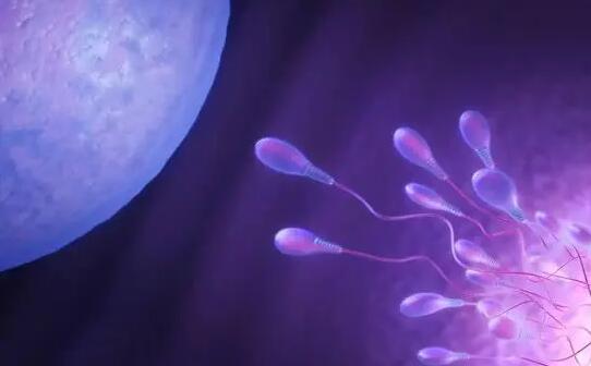 试管湖南湘雅 2023湖南省妇幼保健院试管婴儿成功率： ‘双顶径两侧分离是男孩’