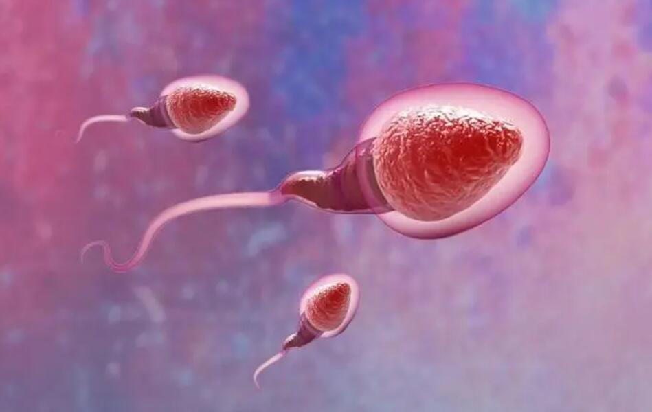 三代试管上海哪些医院可以做试管婴儿 上海哪里可以做供卵试管婴儿 附费用介绍 ‘四维彩超通过胎心率可以看出男女吗’